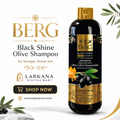 Berg Black Shine Olive Shampoo
